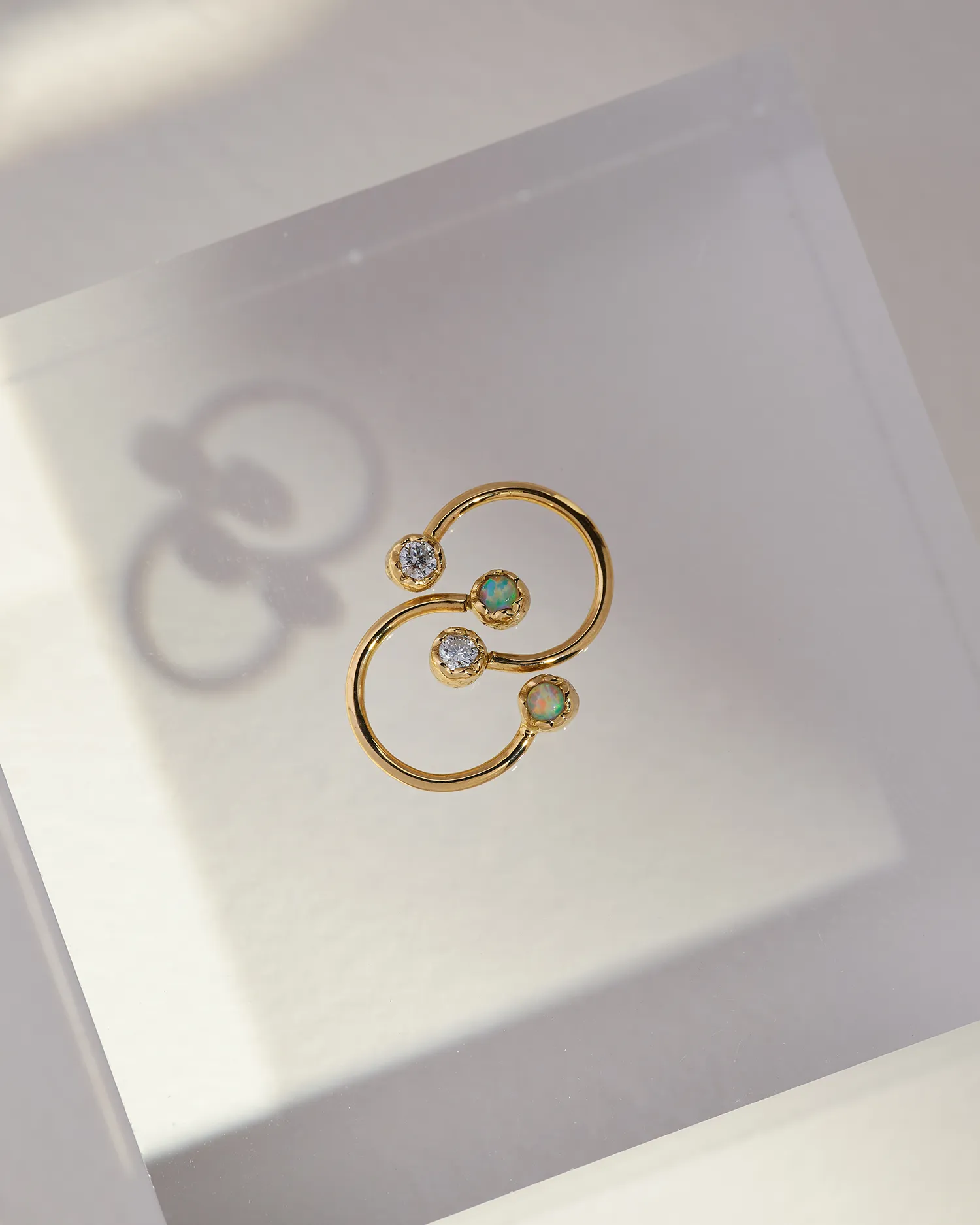 Circular Barbell - Image 4