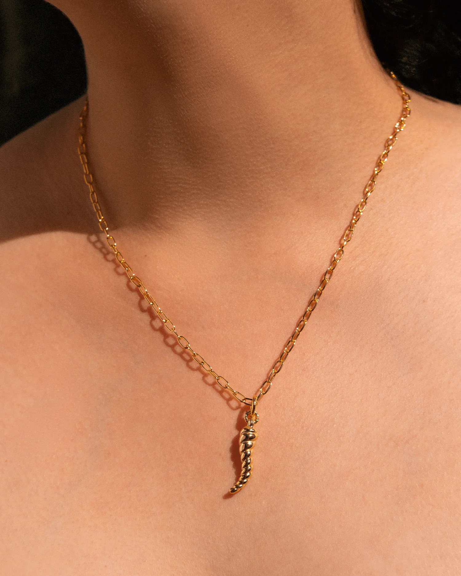 Horn Pendant - Image 2