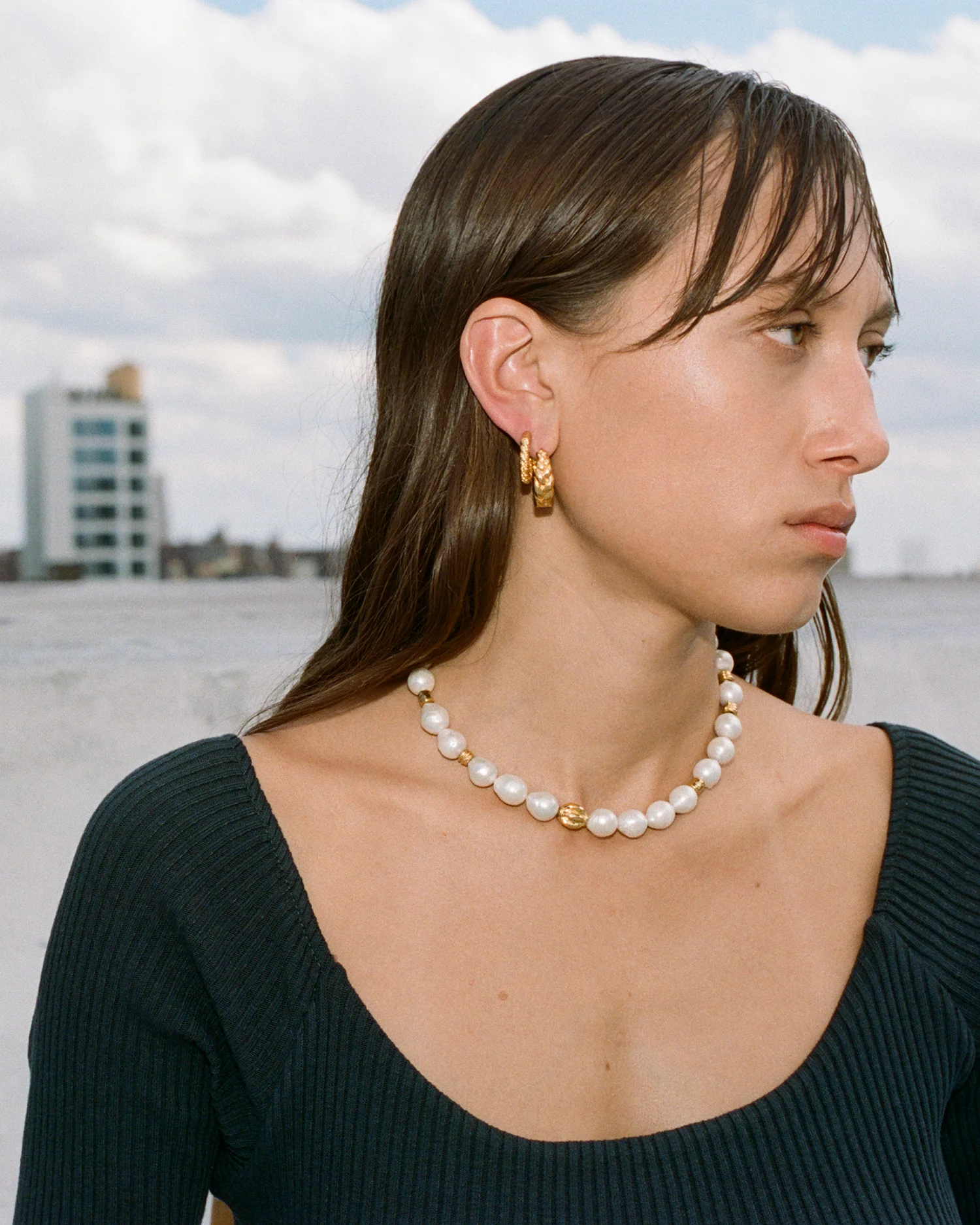 Pythia Hoops - Image 4