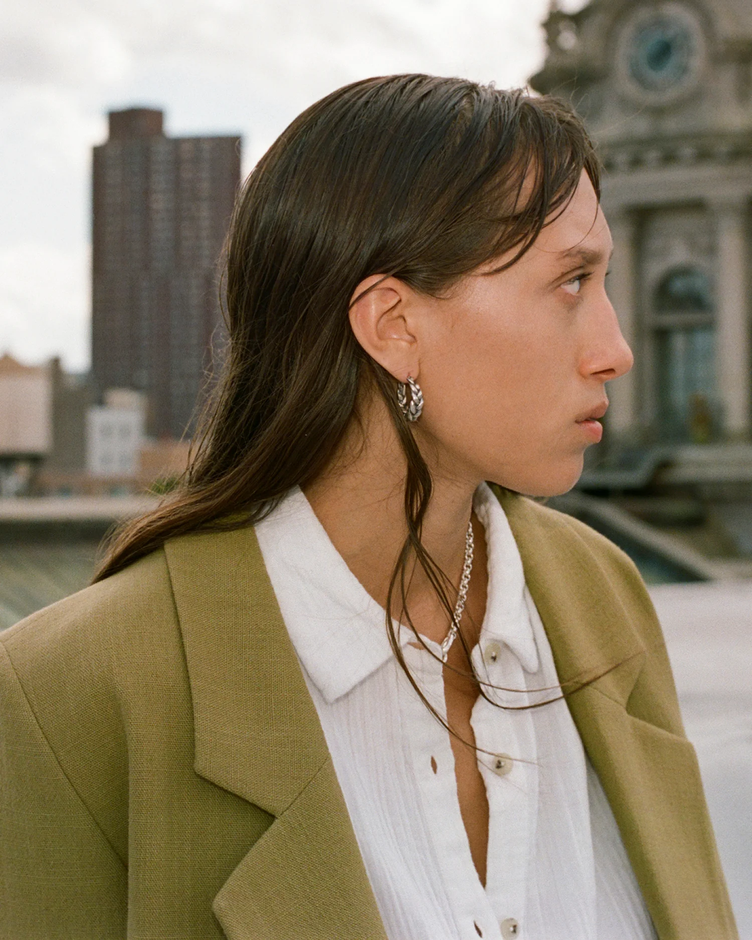 Pythia Hoops - Image 3